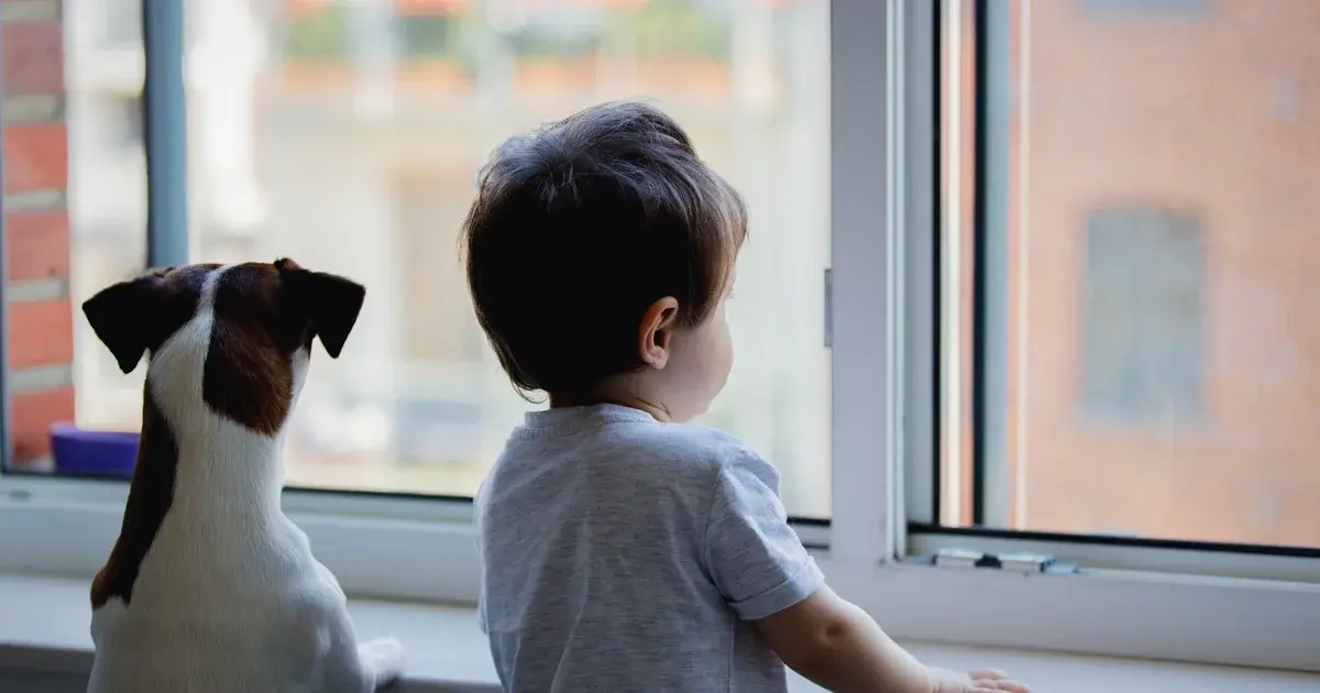 Pet-Friendly Condos in Cincinnati: Where Your Furry Friends Are Welcome