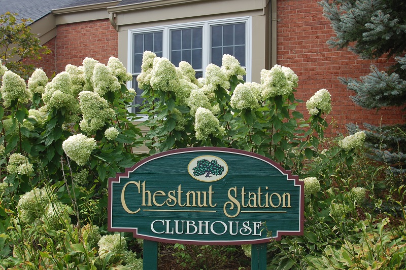 Chestnut Station
